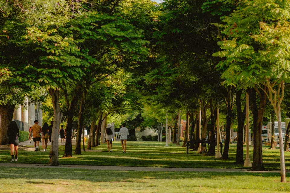 The Heartbeat Of Swampscott, MA — Swampscott, MA